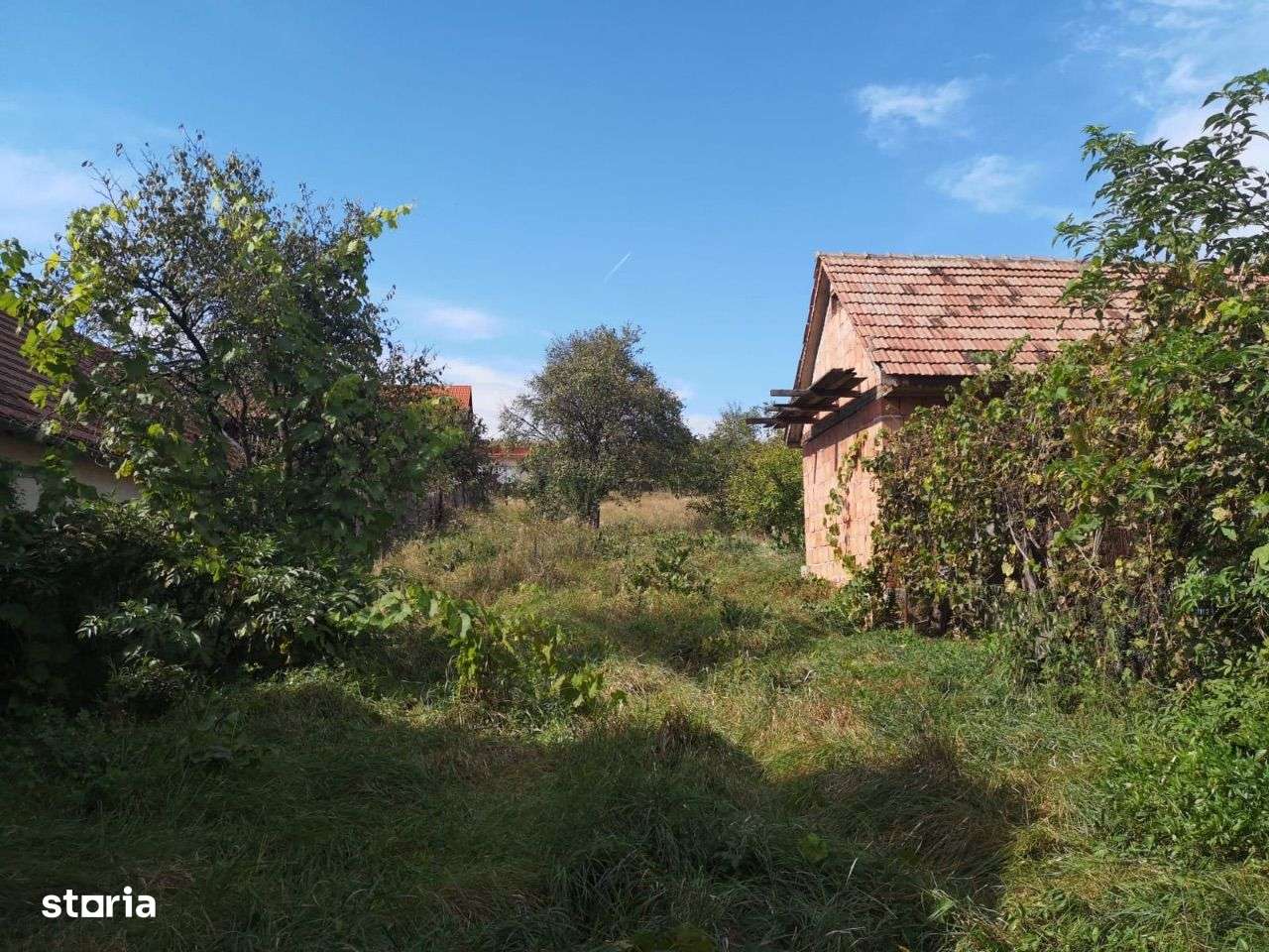 Casă de vânzare Sura mare-12