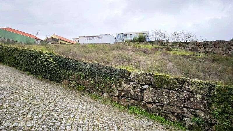 Terreno para Construção / Penafiel, Cabeça Santa-14