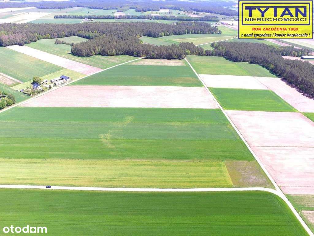 Działka, 1 318 m², Czerwone - Pełny obrazek: 5/8