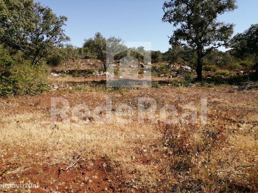 TERRENO RUSTICO EM LOULÉ - Grande imagem: 3/11