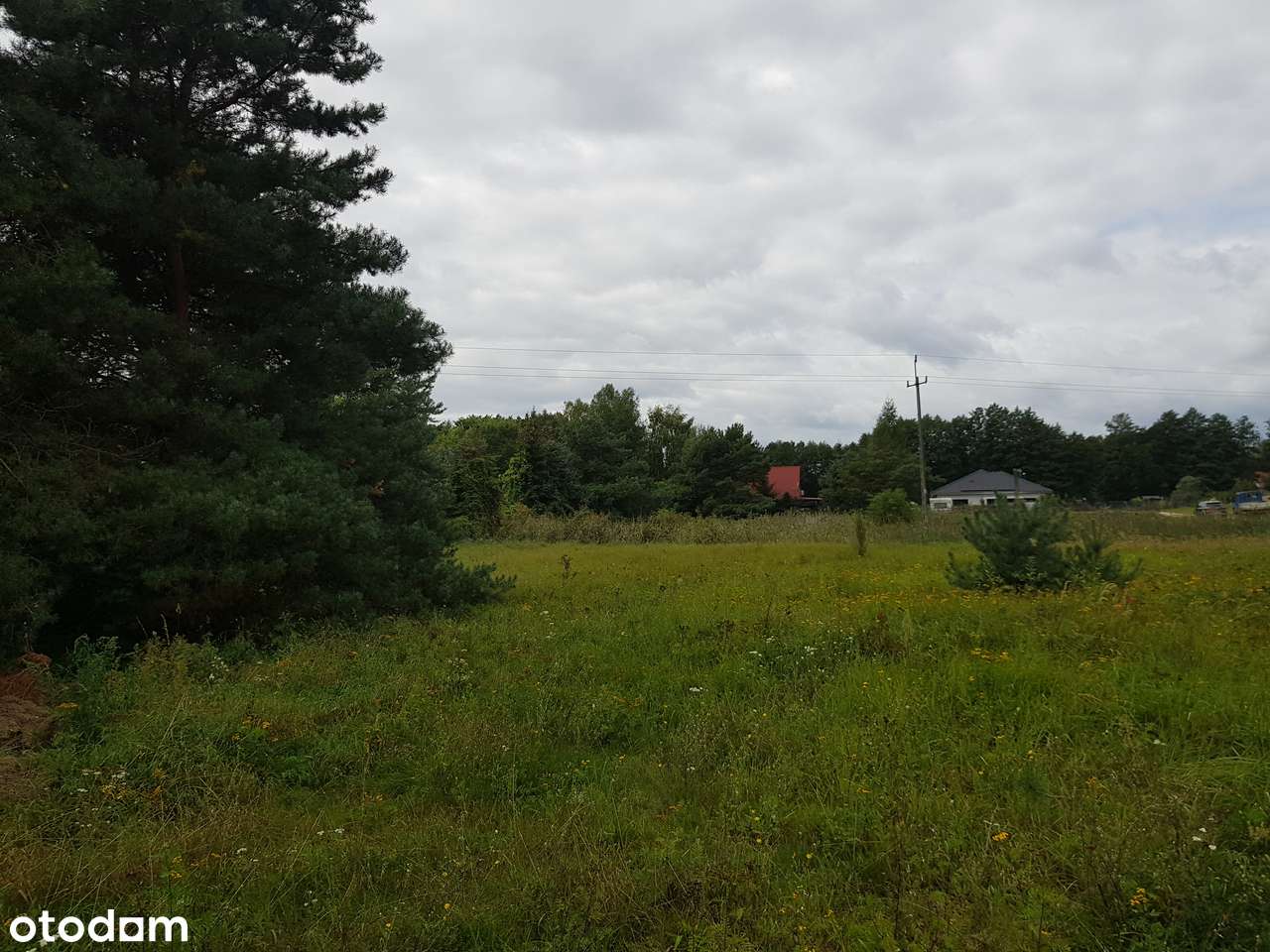 Piękna działka 400 m od Jeziora Duży Szarcz, MPZP-6