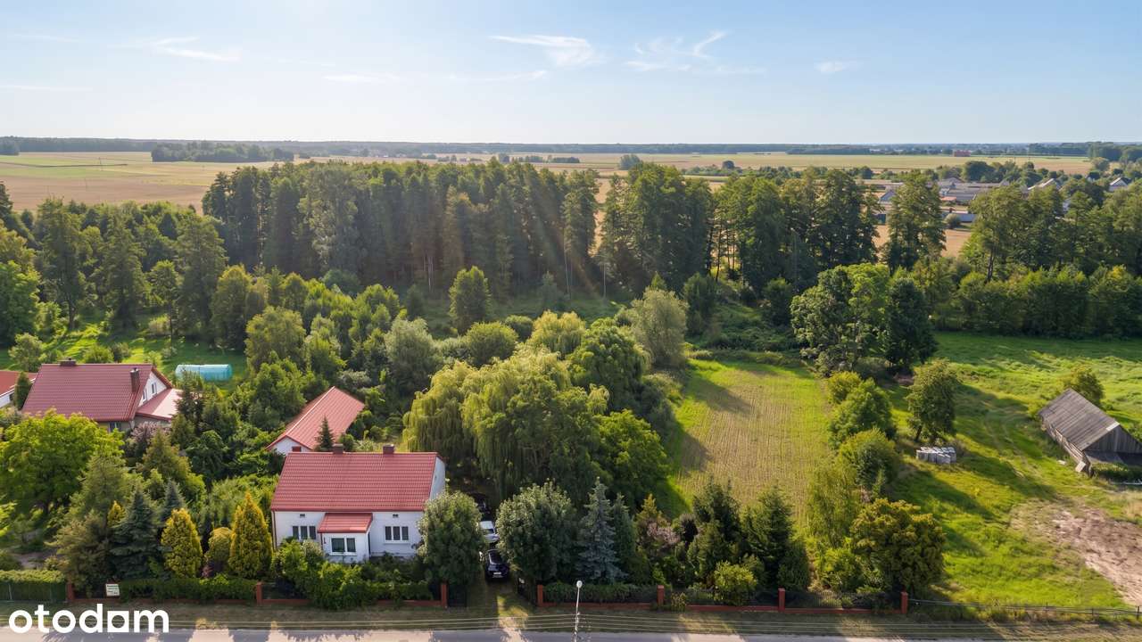 Dom z siedliskiem i działką 6,5 ha / Las / Pole / Media / pod Warszawą