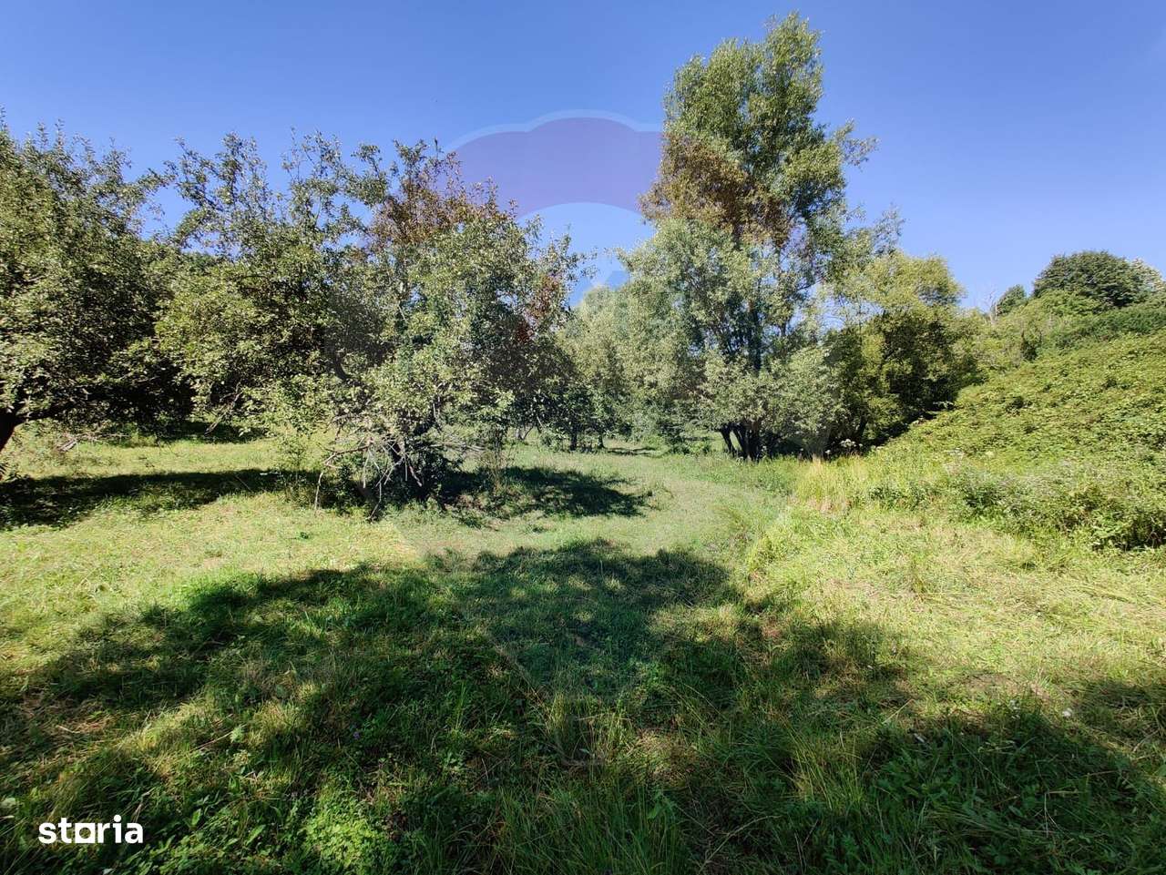 Teren intravilan in Remetea Chioarului - Imagine principală: 4/6