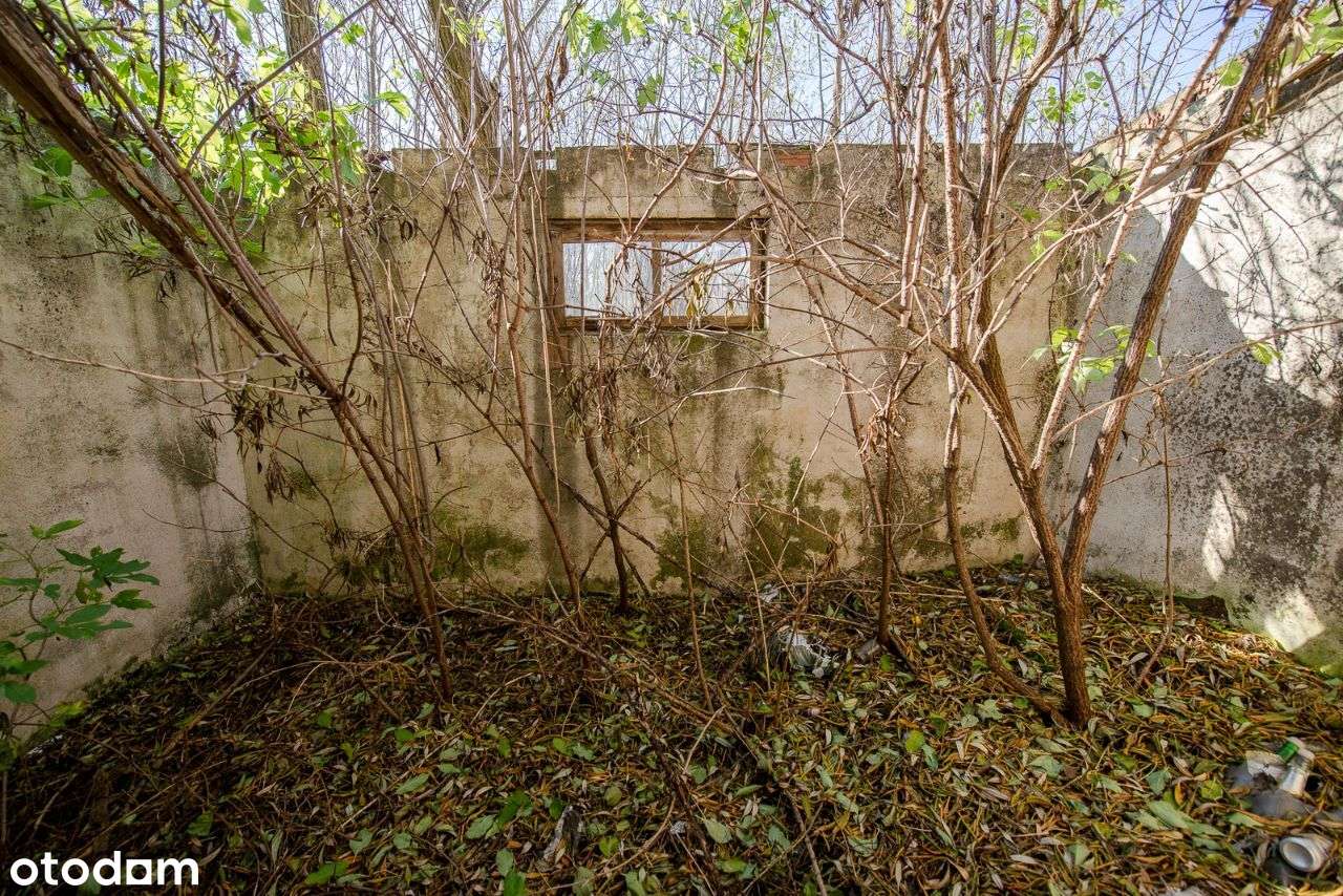 Długopole Górne - Dom i działka 1 ha-7