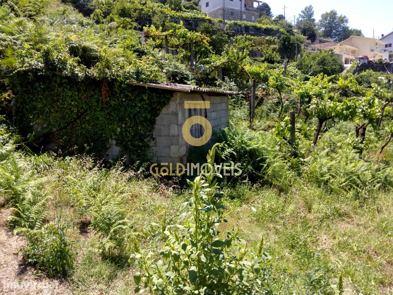 Terreno Rústico - Grande imagem: 3/9