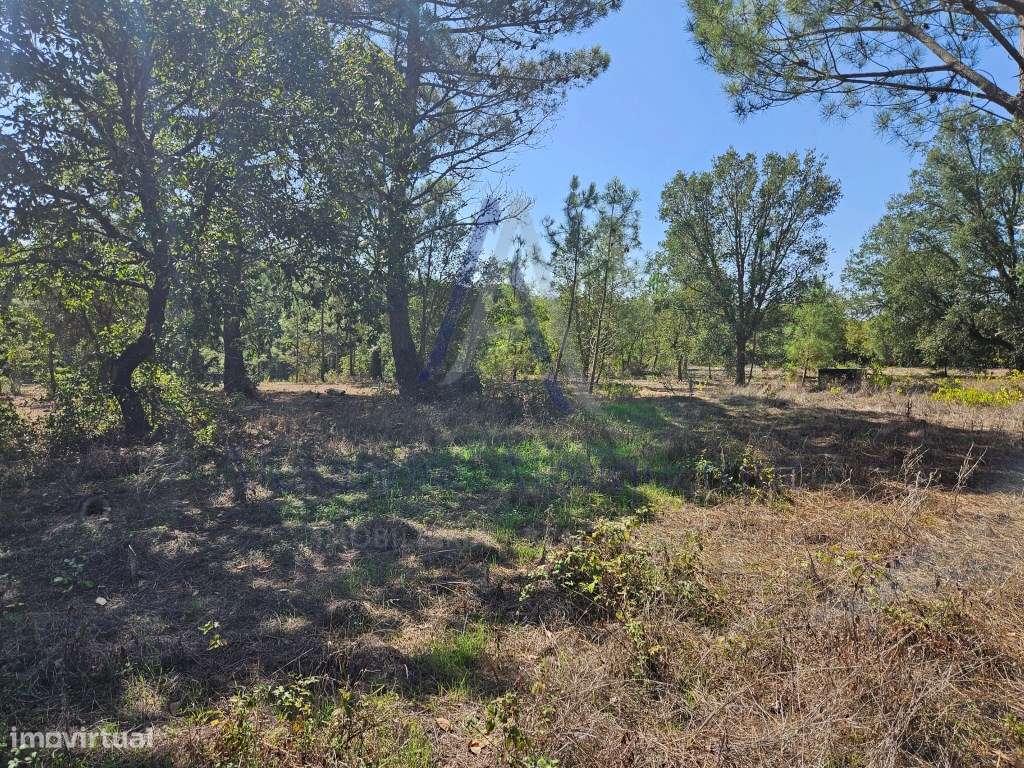 Excelente oportunidade de investimento! - Grande imagem: 2/7