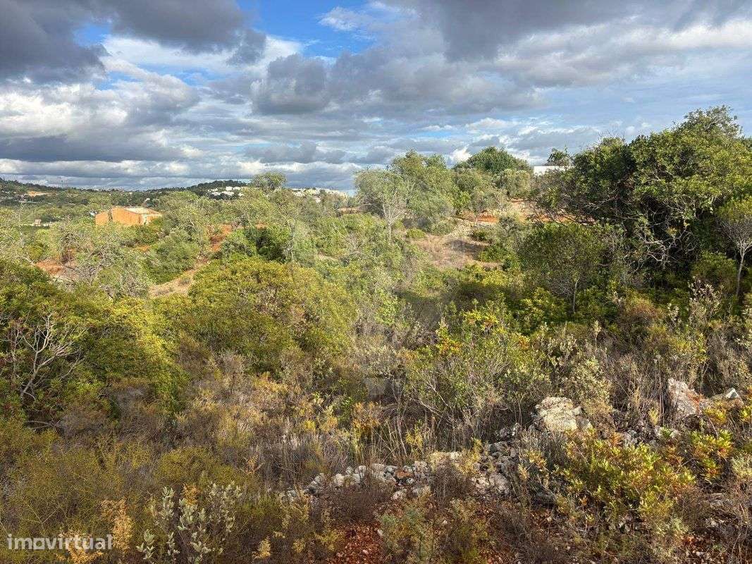 Terreno  para venda - Grande imagem: 5/8