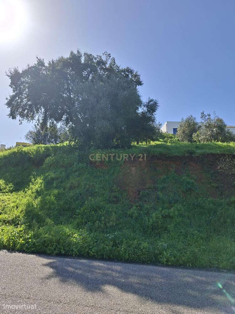 Oportunidade – Lote de Terreno em Montargil-11