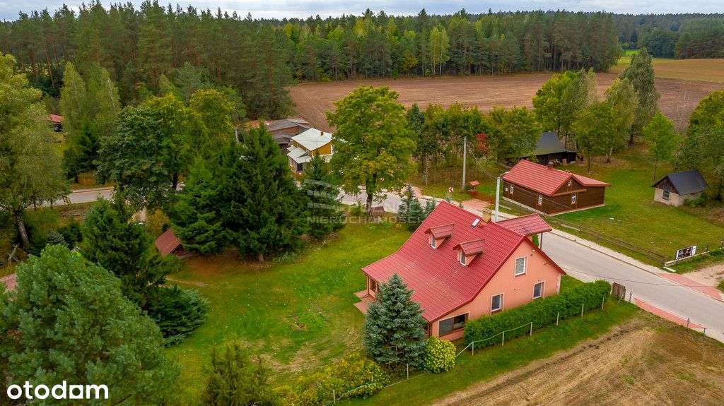 Malownicze siedlisko we wsi Łapczyn. - Pełny obrazek: 4/20