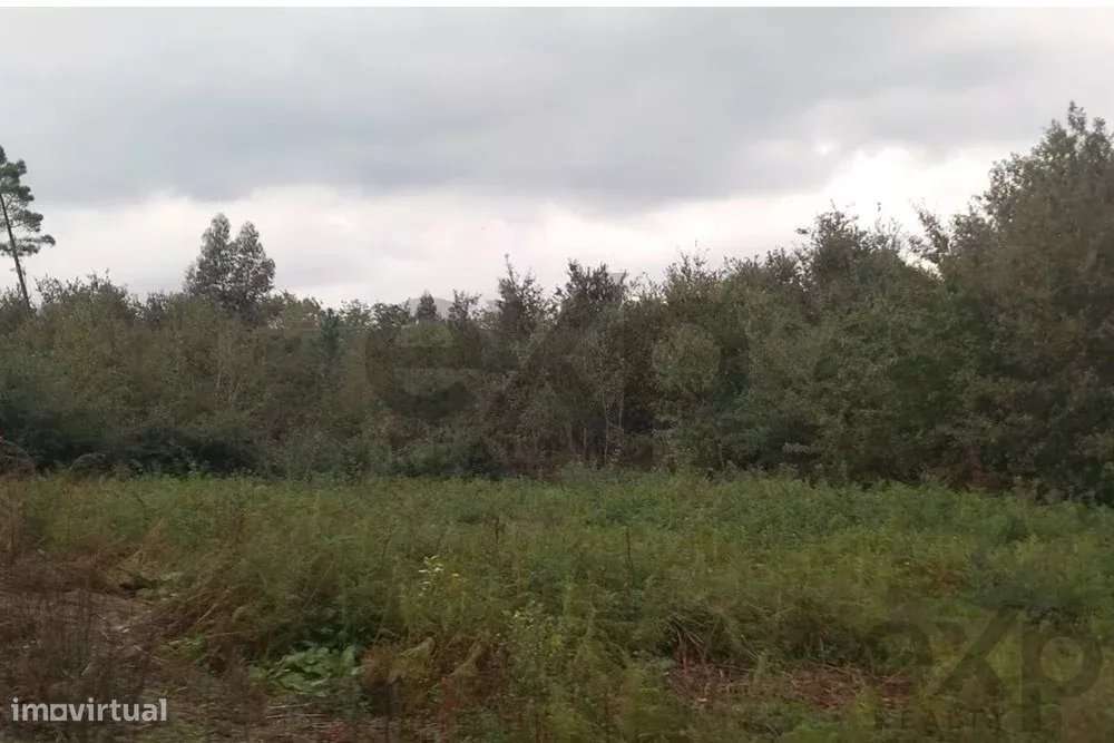 Excelente imovel para projeto agricola... - Grande imagem: 5/10