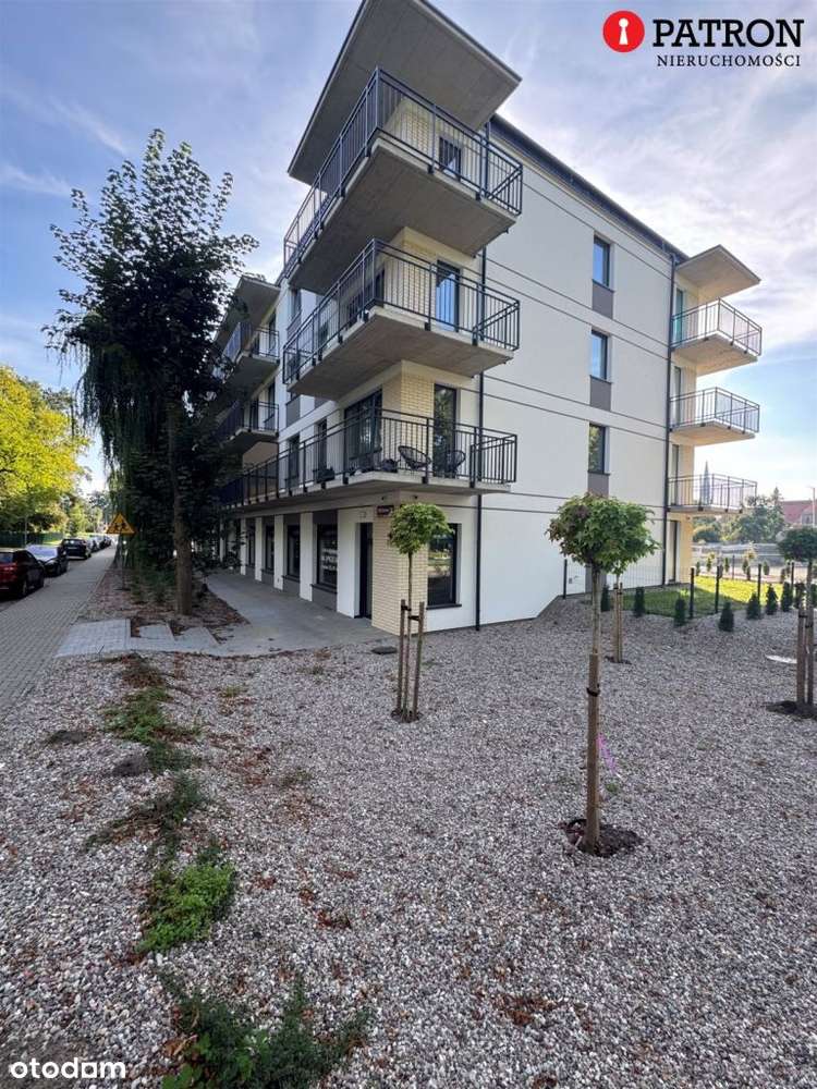 Ostatni lokal użytkowy przy Wilsona 19 w Chojnie-3