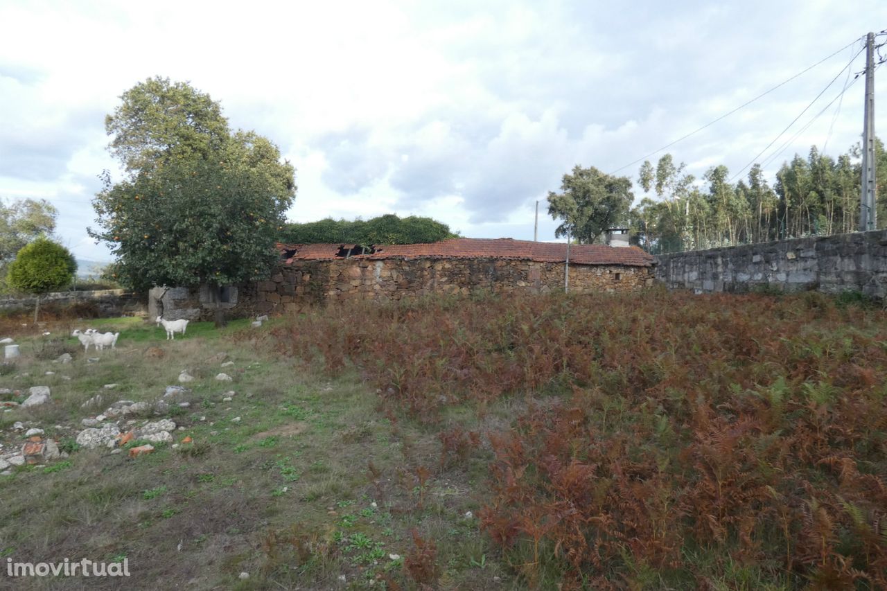 Quintinha  Venda em Esmeriz e Cabeçudos,Vila Nova de Famalicão