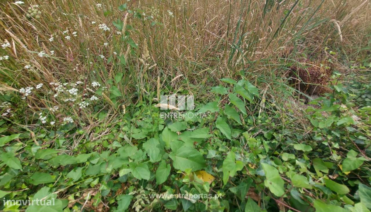 Terreno 3550 m2, Argivai, Póvoa de Varzim - Grande imagem: 5/12