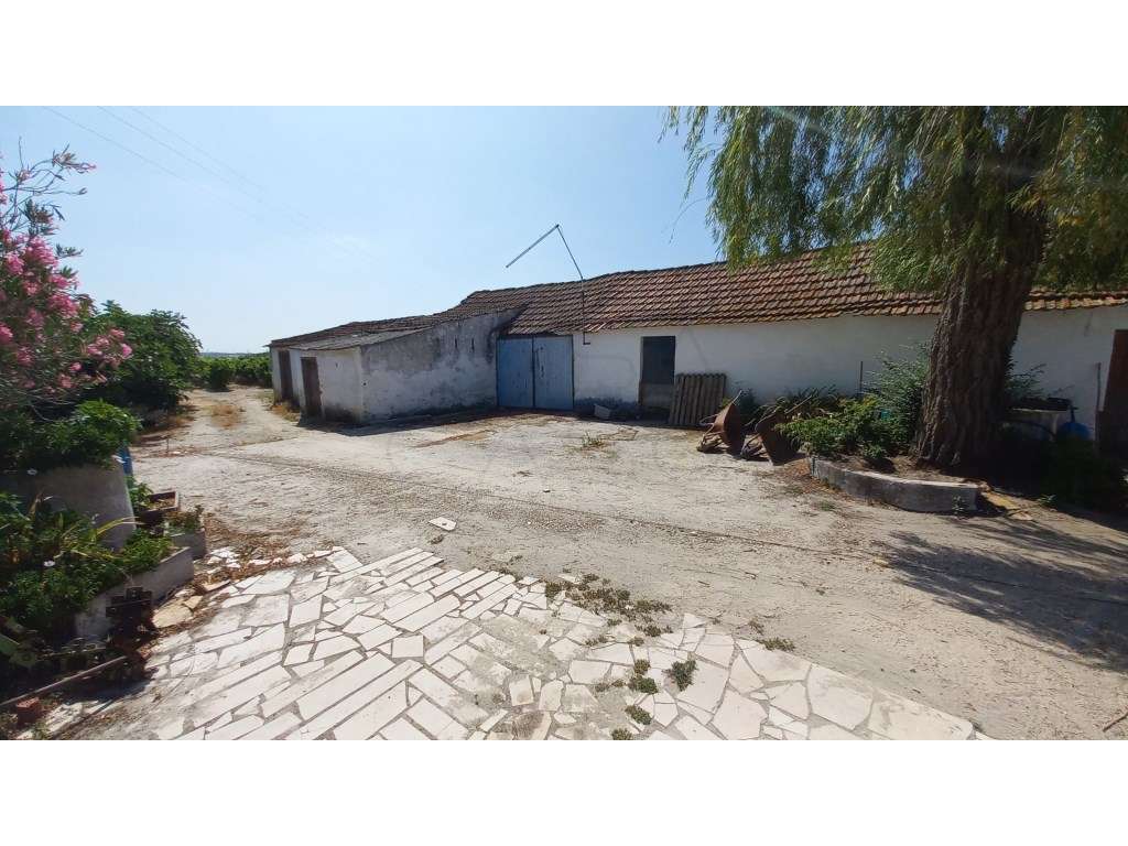 Herdade vinhateira próxima de Setúbal-24