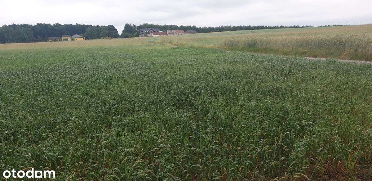 Działka, 1 041 m², Wola Pasikońska-2