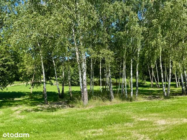 OSADA nad jeziorem (media, las, staw, mpzp) - Pełny obrazek: 5/20