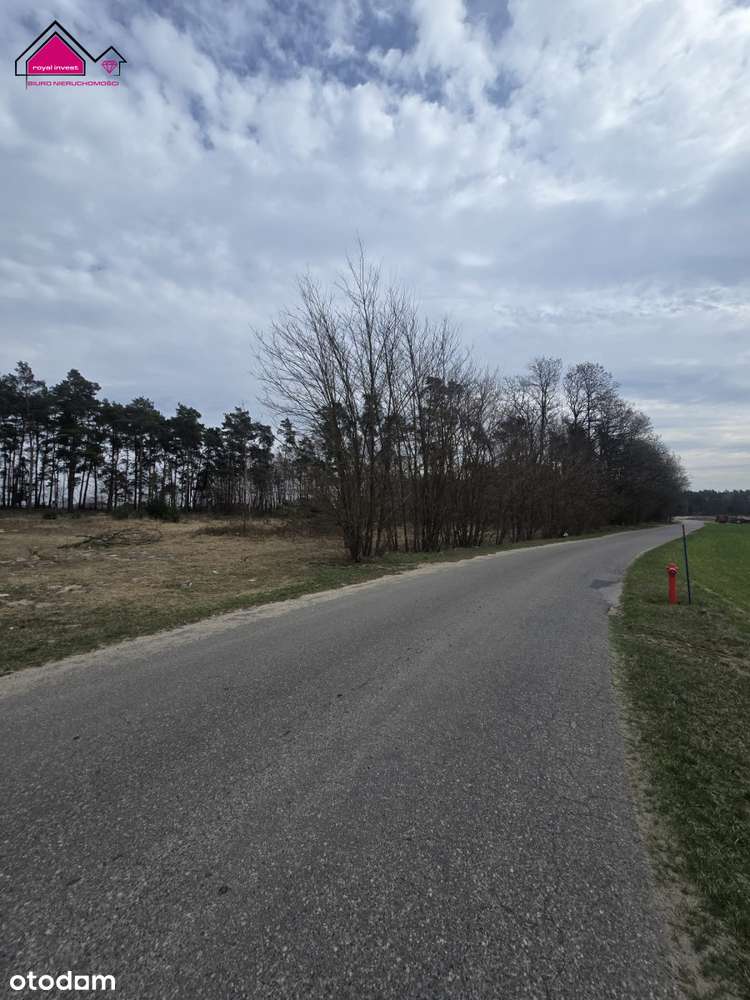 Działka z własnym lasem blisko centrum Konina-6