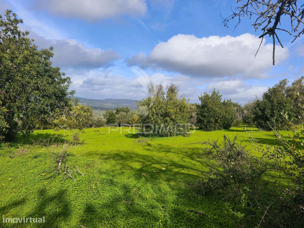 Terreno com 6.440 m² e potencial para 12 moradias - Grande imagem: 4/5