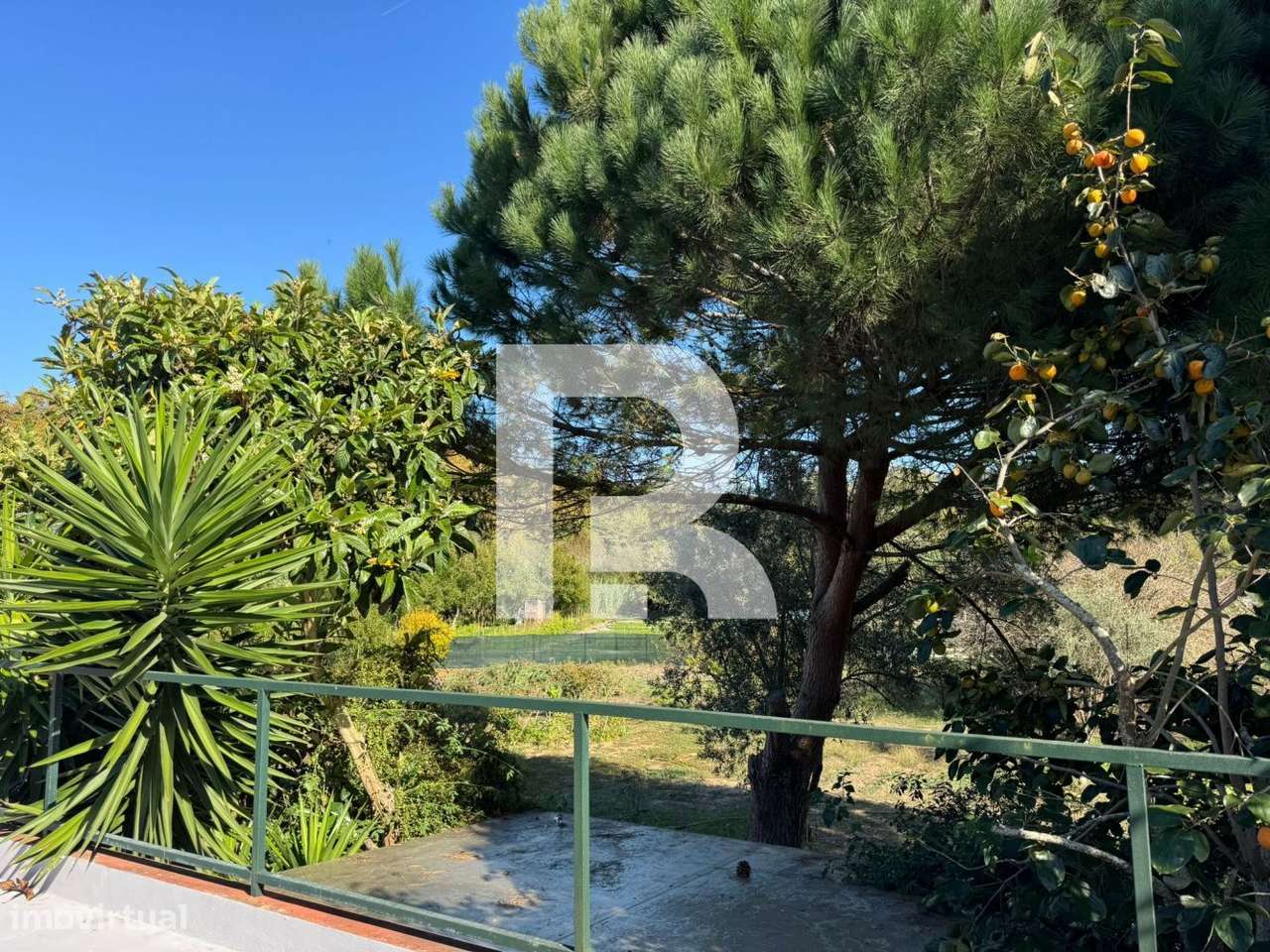 Quinta Rústica em Colares, Sintra-5