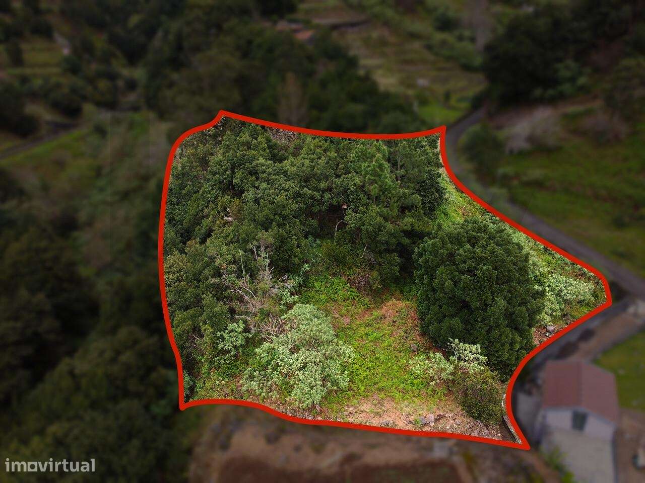 Terreno rústico com uma área de 2.302 m2 - Grande imagem: 4/15