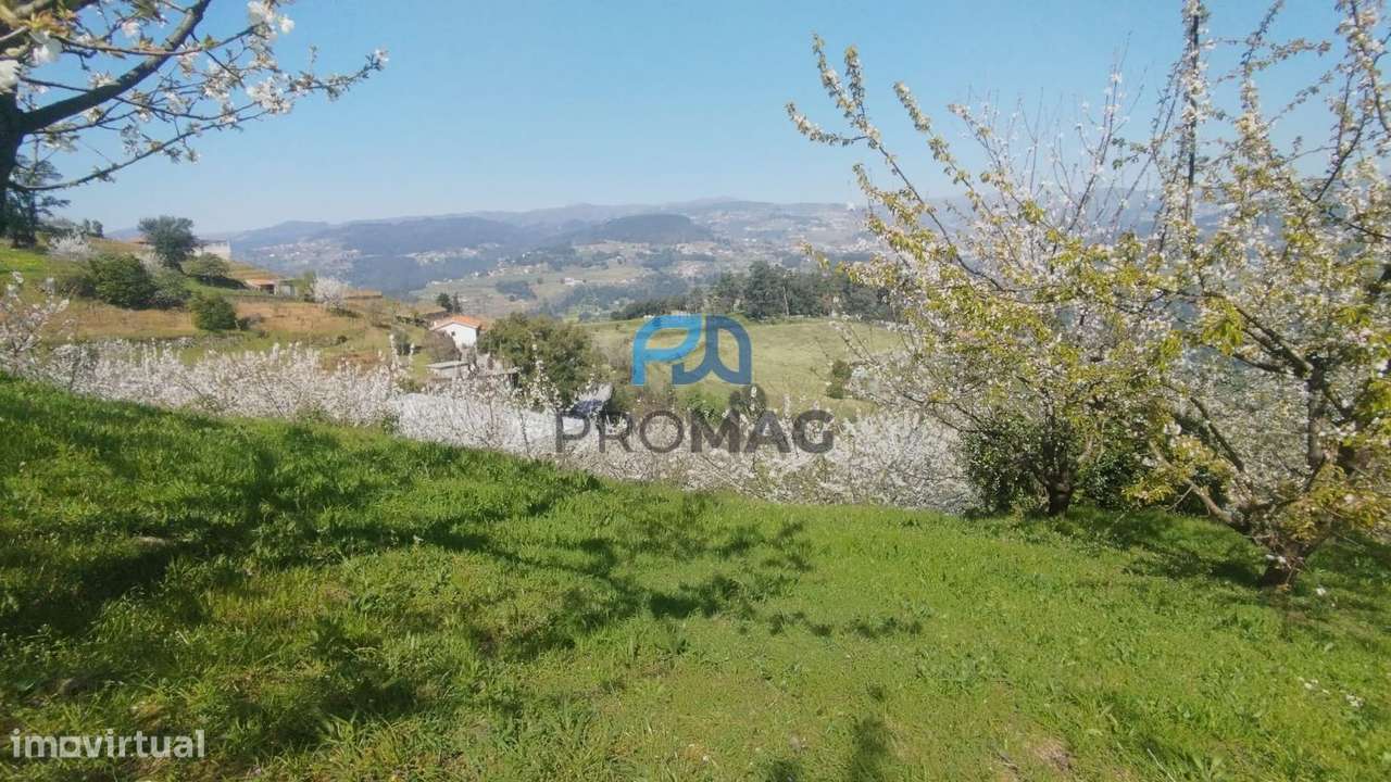 Quinta do Valado- Excelente Investimento em Resende-12