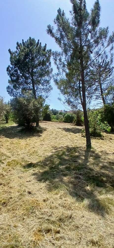 Terreno de construção em Furadouro, Sabacheira no concelho de Tomar - Grande imagem: 5/12