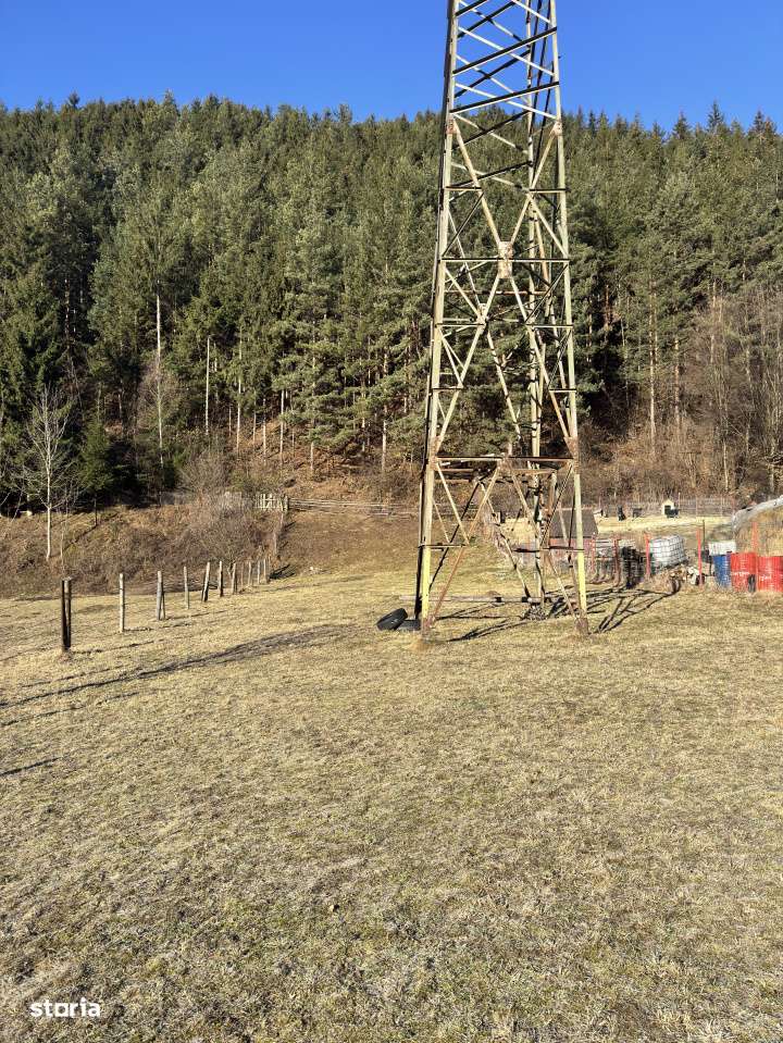 Teren de exceptie in Rucar, aproape de Brasov – intimitate, natura s-4