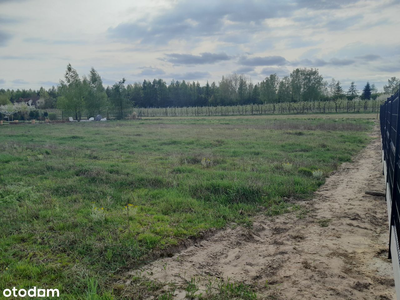 Sprzedam działkę budowlaną 1500 m w Kotorydzu