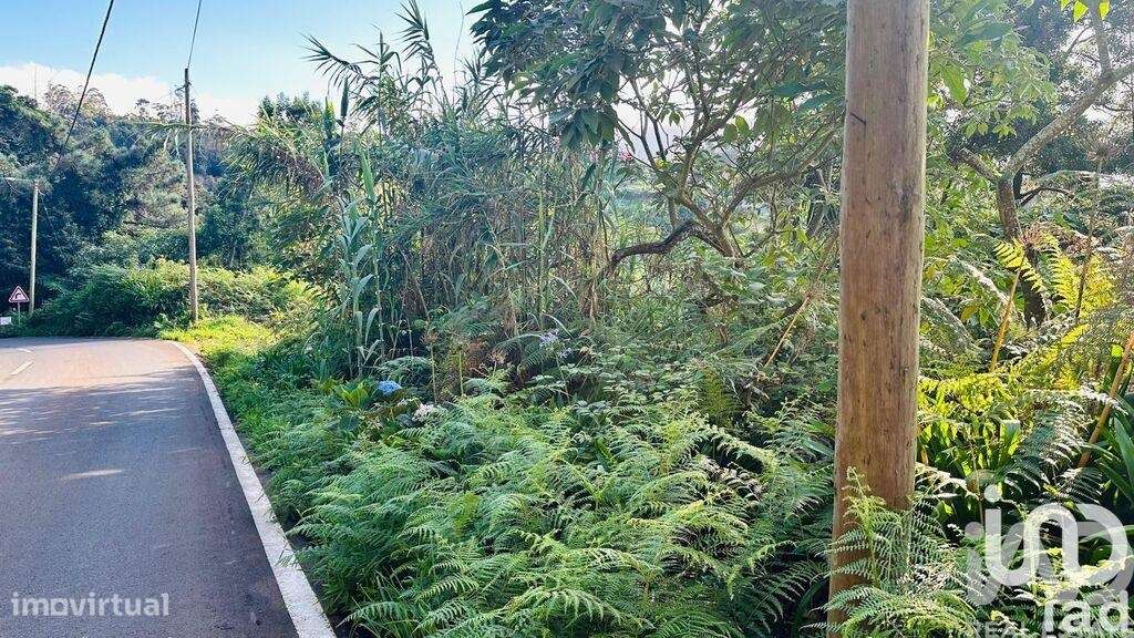 Terreno Agrícola em Santana - Grande imagem: 2/39