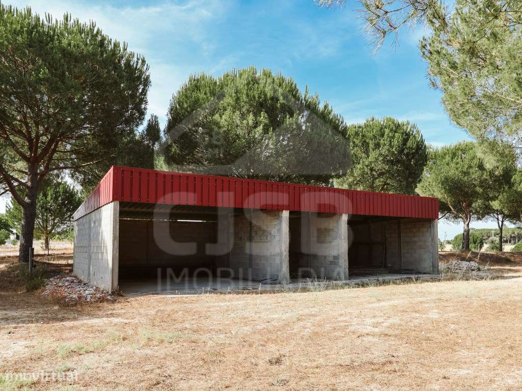 Quinta T5 na Branca-37