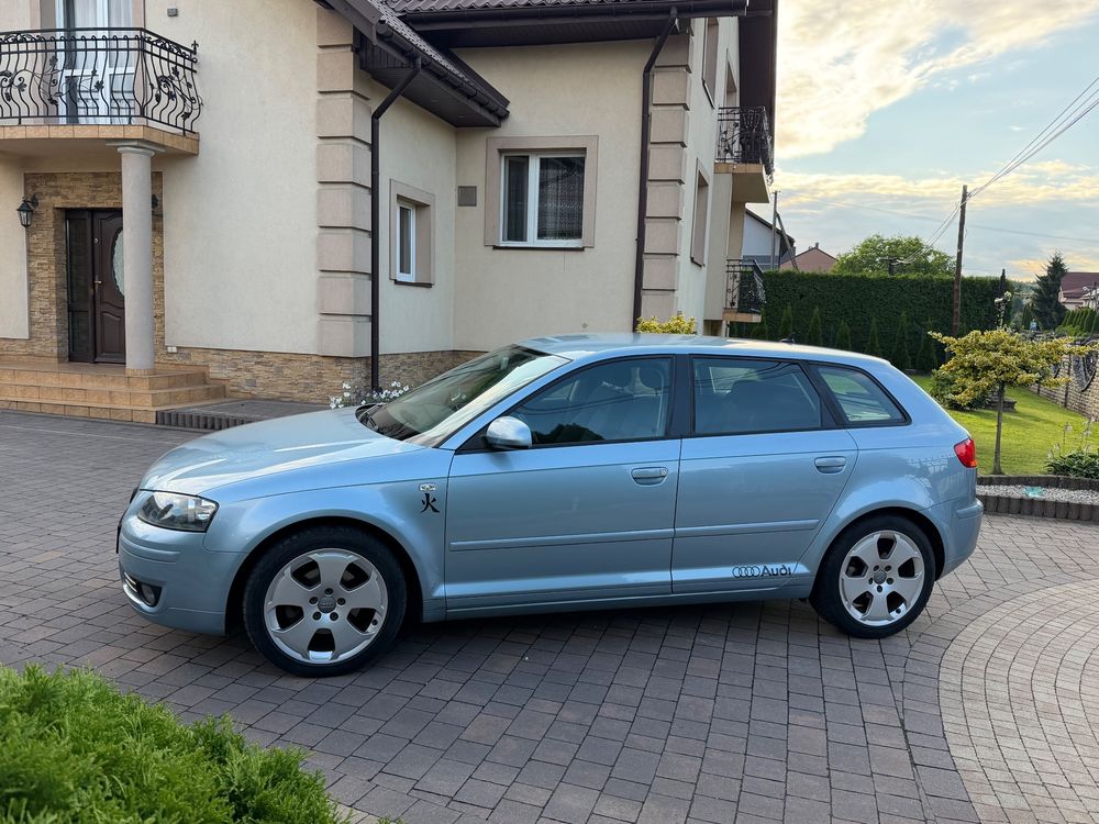 Audi A3 8P (2003-2012) 1.6 Ambition 2007