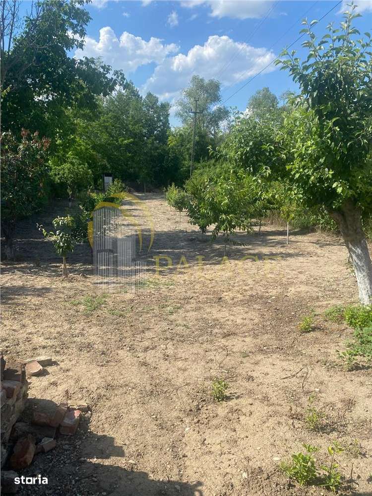 Oportunitate  unica de investitie- teren de vanzare- Prahova-2