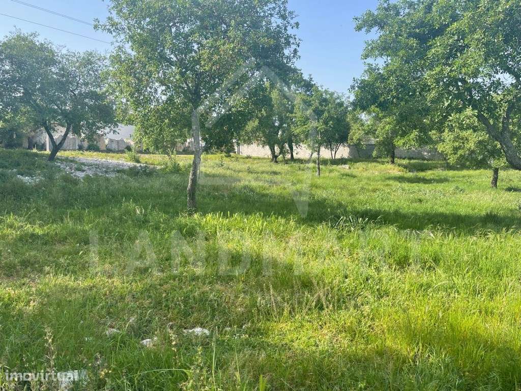 Pecuária e Terreno, Casal da Lagoa - Turquel-3