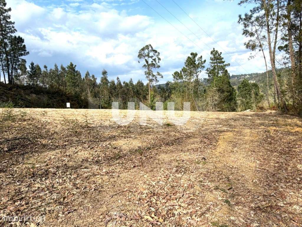 Terreno Rústico - Envolvente de Natureza-6