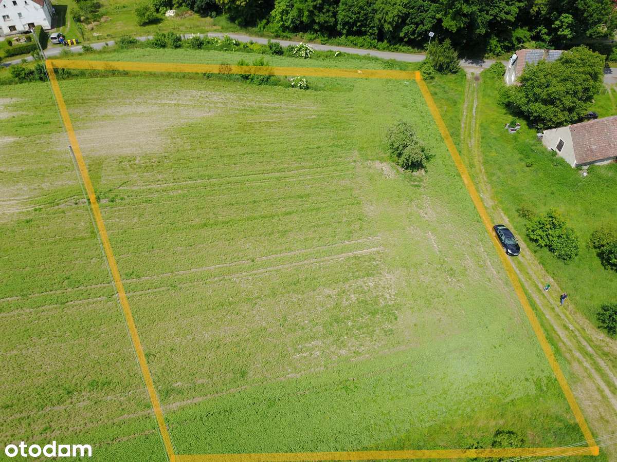 Działka z WZ! Zabudowa mieszkaniowa jednorodzinna - Pełny obrazek: 5/6