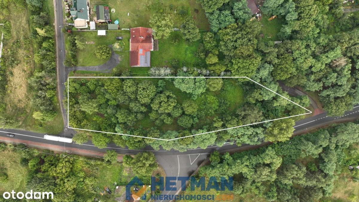 Działka ponad 0,5 ha - tylko 14km od Zielonej Góry - Pełny obrazek: 5/10