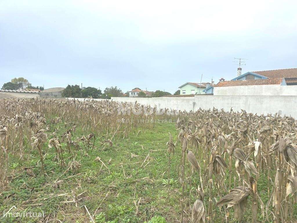 Terreno rústico com viabilidade para construção, Veiros, Estarreja-7