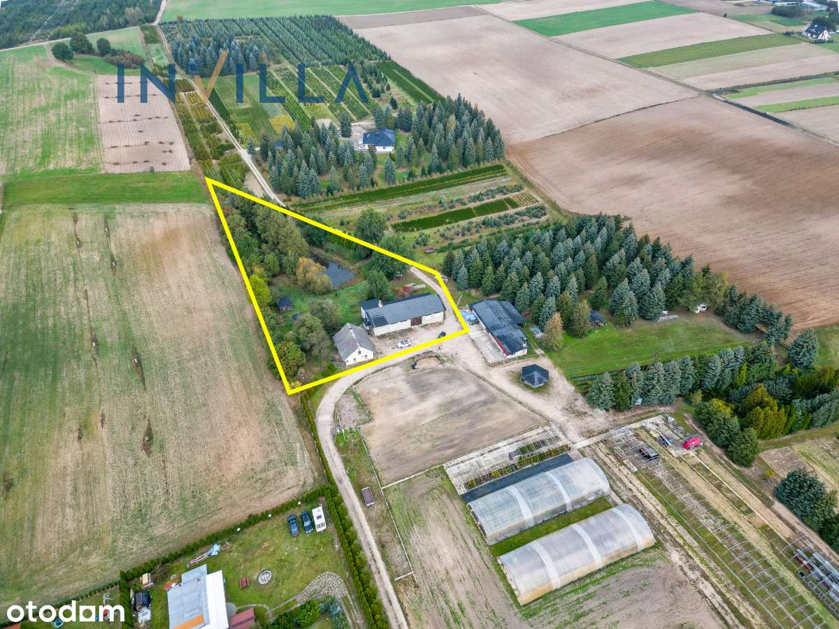 Działka Z Domem, Magazynem I Stawem - Pełny obrazek: 4/9