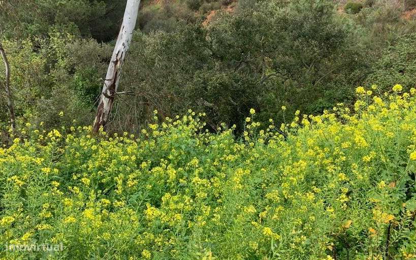 Terreno urbano em Odemira - Grande imagem: 4/7