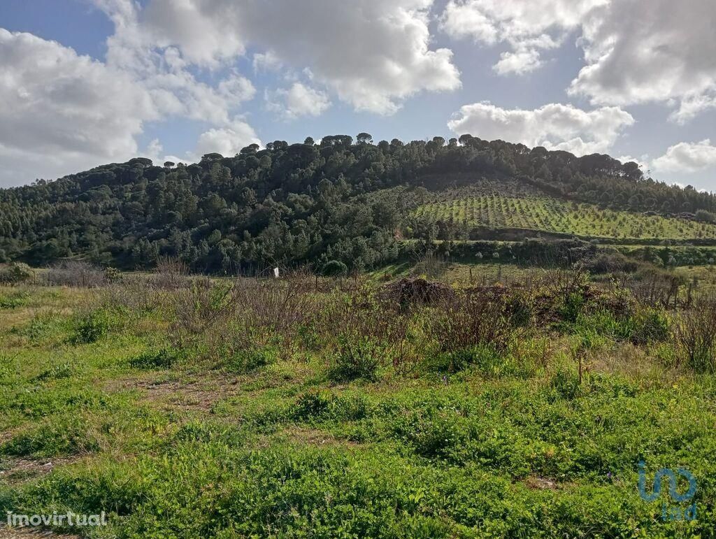 Terreno em Santarém de 18204,00 m2