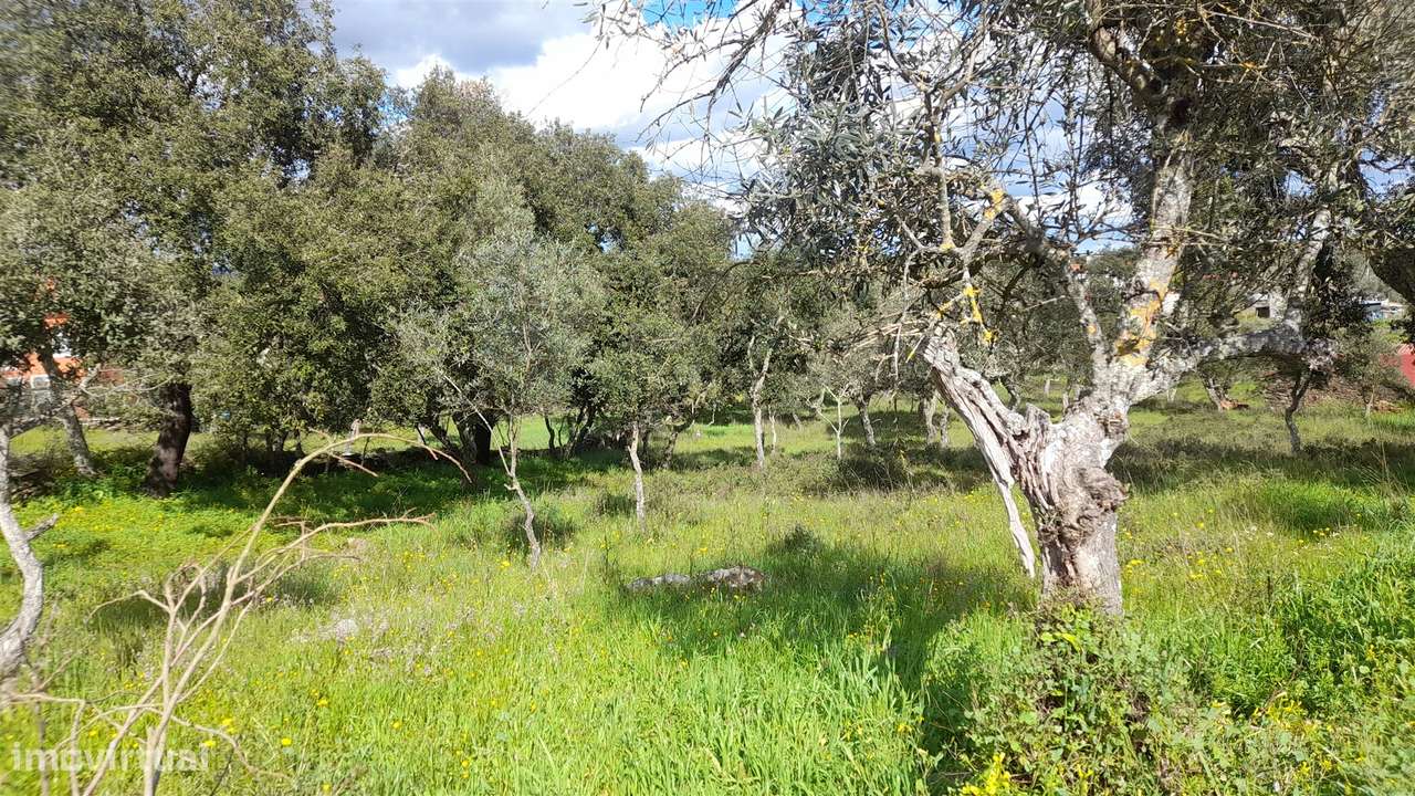 Terreno Para Construção  Venda em Benquerenças,Castelo Branco - Grande imagem: 5/19