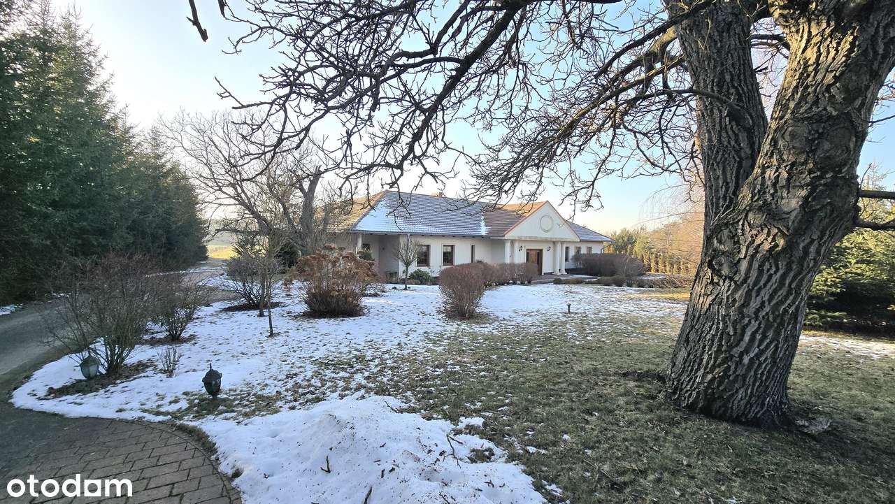 1,2 HEKTARA PRYWATNOŚCI – Rezydencja ze stawem i lasem pod Poznaniem-1