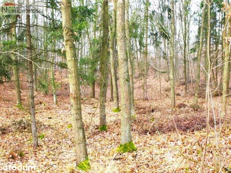 Działka - Świetlikowo-5