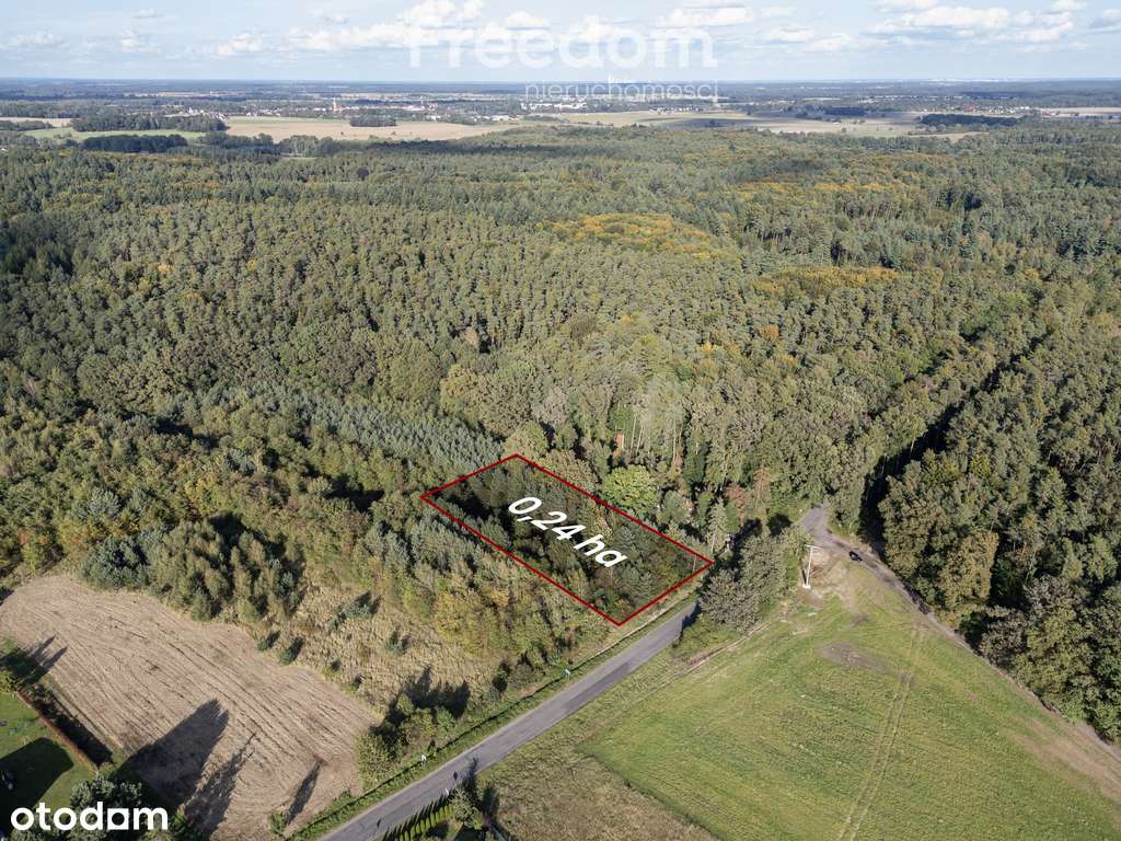 Działka na sprzedaż rolna/ leśna. - Pełny obrazek: 5/5