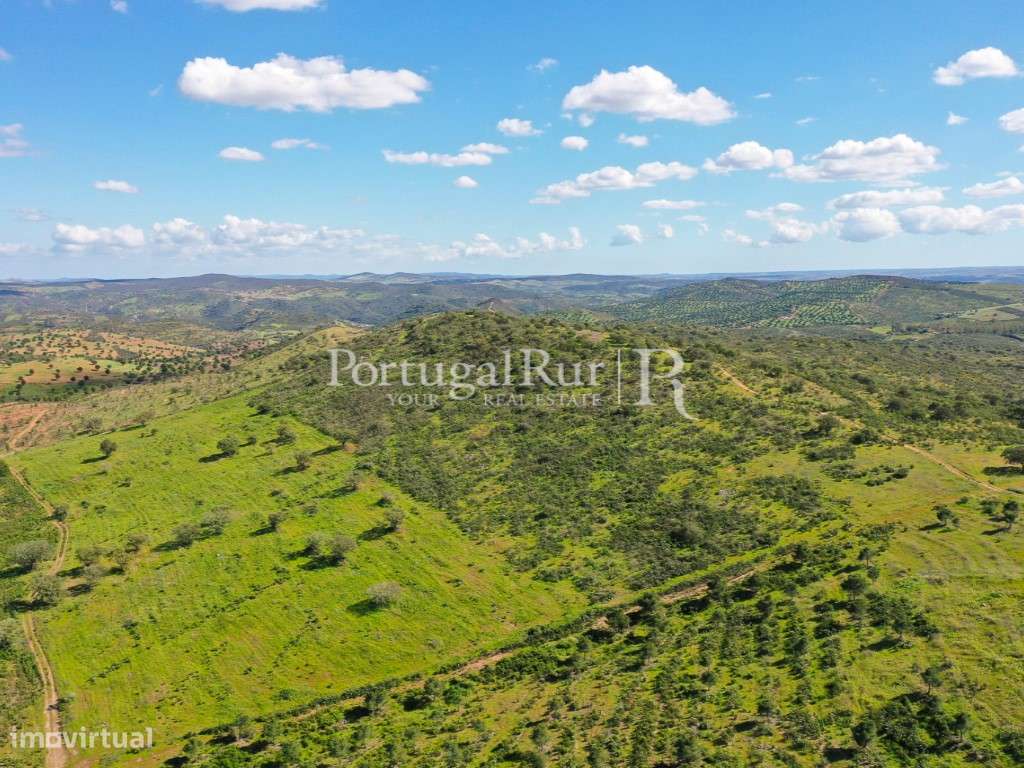 Herdades de Caça com 1300 Hectares, junto do rio Guadiana-55