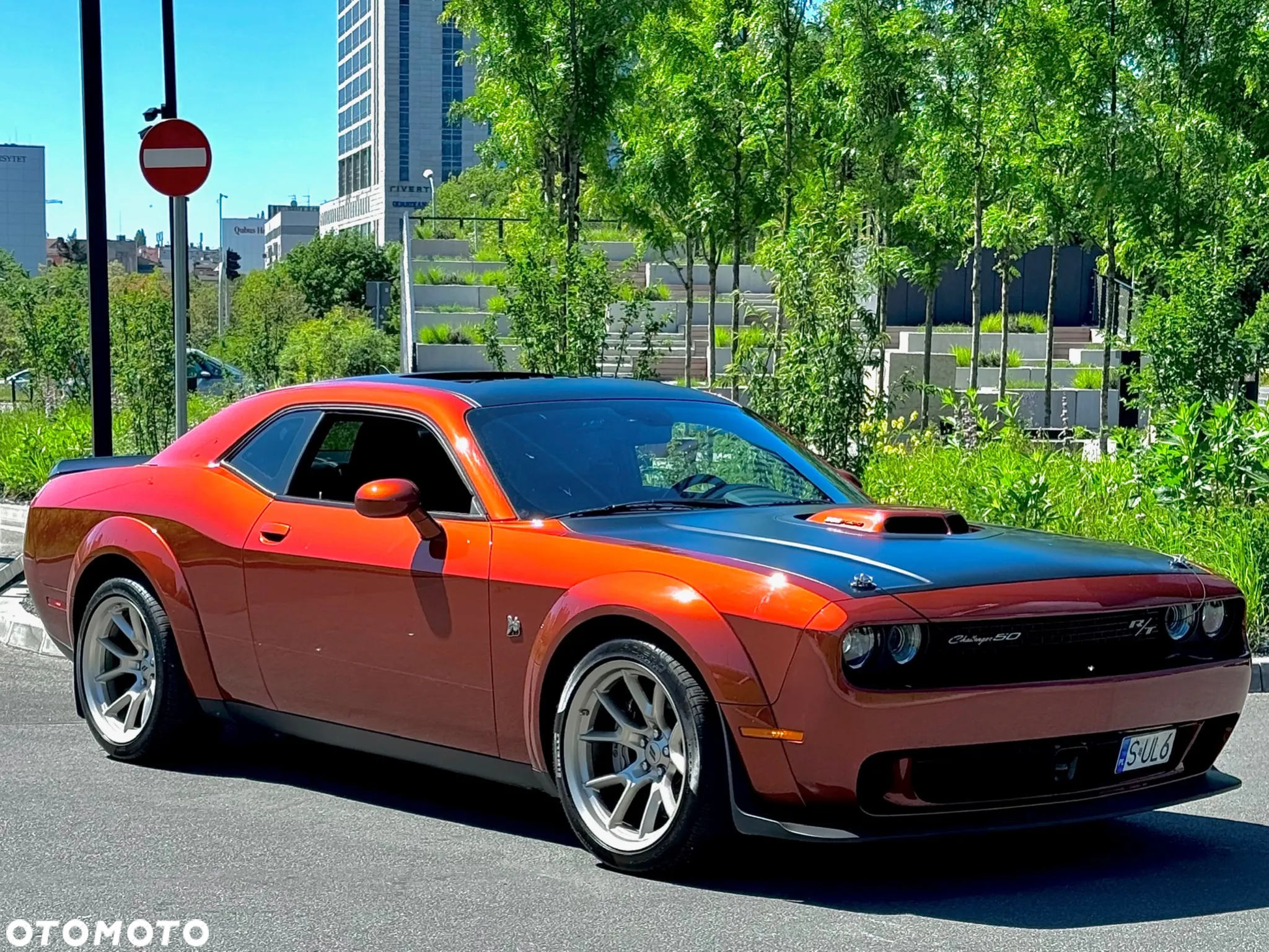 Dodge Challenger 6.4 Scat PackWidebody - 13