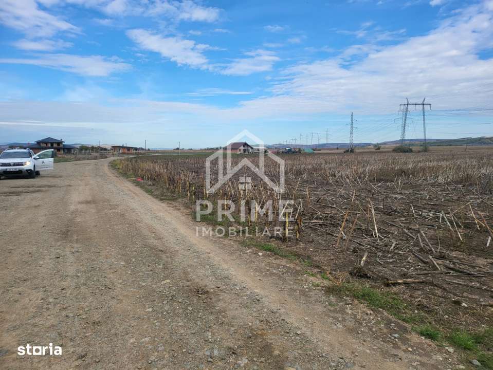 Teren de vanzare in Oarda de Jos , 8300  mp din care 2700 mp intravila - Imagine principală: 1/4