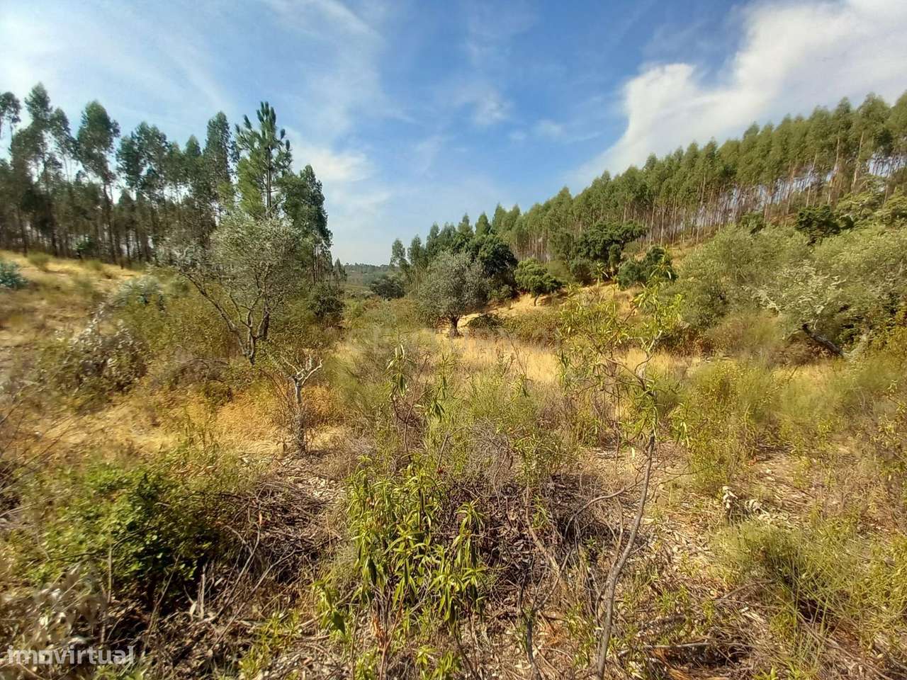 Terreno com 23500m2 com Vista Panorâmica em Local Tranquilo - Grande imagem: 3/6