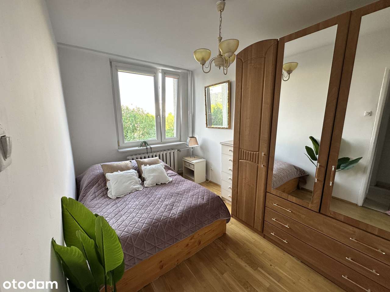 Mieszkanie dwupokojowe, oddzielna kuchnia, balkon