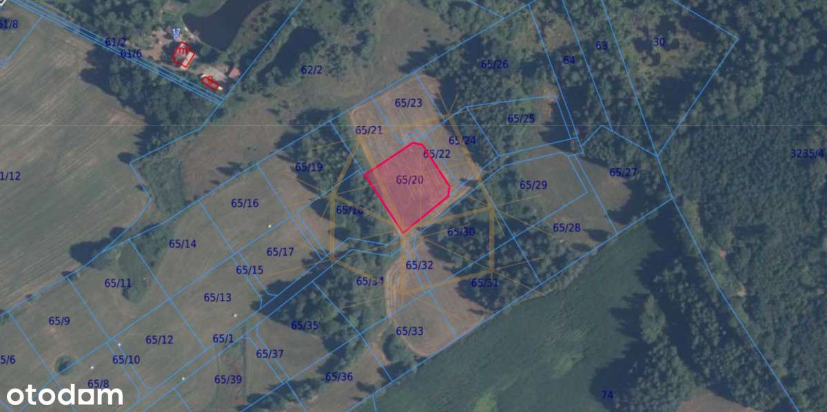 Jezioro/Kameralne Osiedle/ Pod Budowę/ Las/ Kamela - Pełny obrazek: 5/14